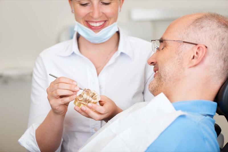 Dentist using a jaw model to explain crowns and bridges to a patient